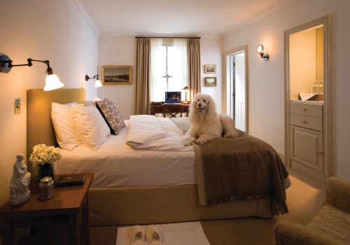 Exploring Pet-Friendly Guesthouses in Central Pennsylvania